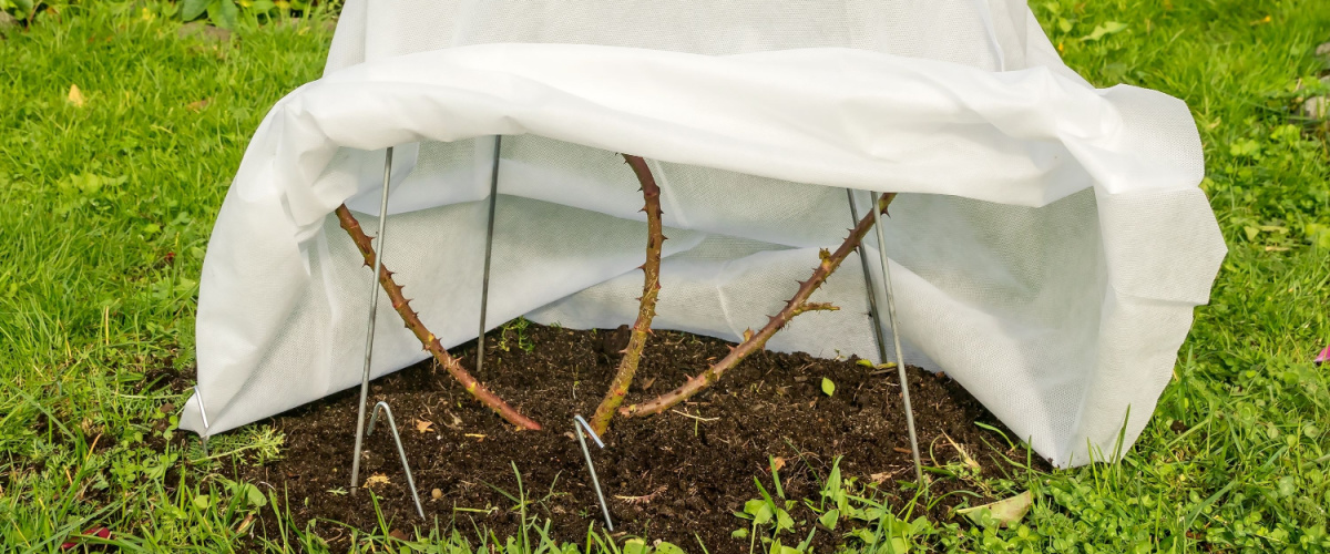 Bescherm planten tegen vorst - Beeker