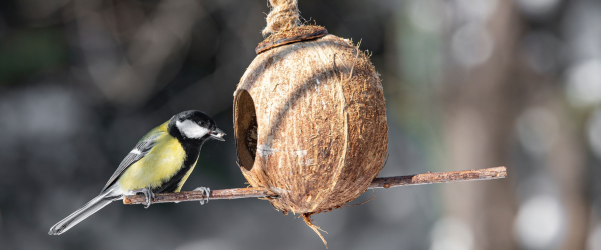 Help dieren de winter door - Beeker 