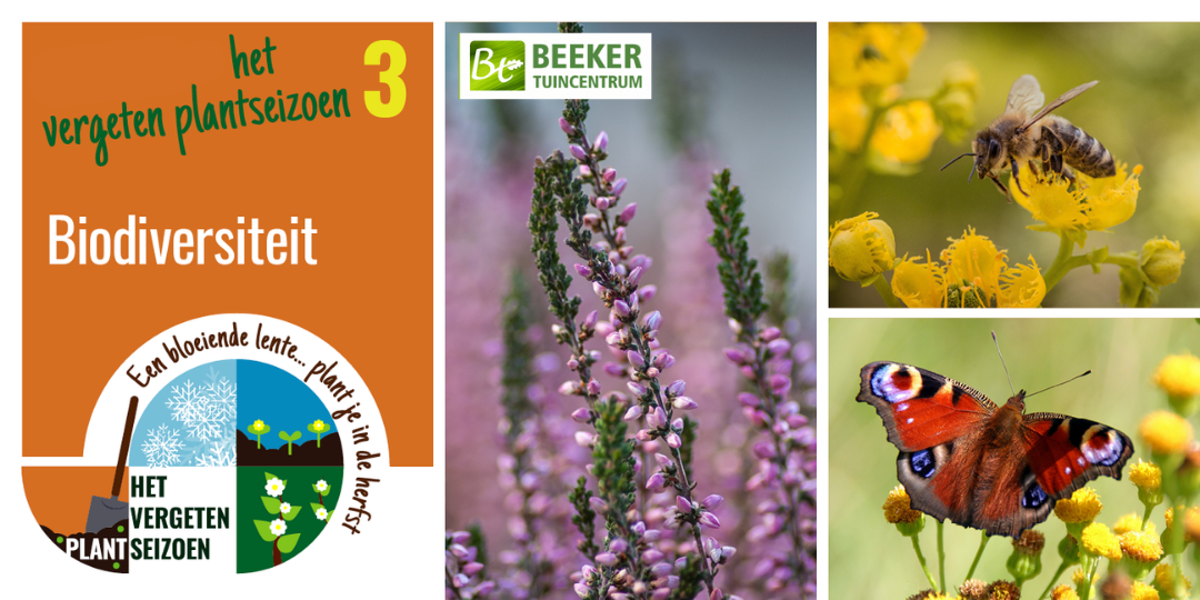 Het Vergeten Plantseizoen - Biodiversiteit - Beeker