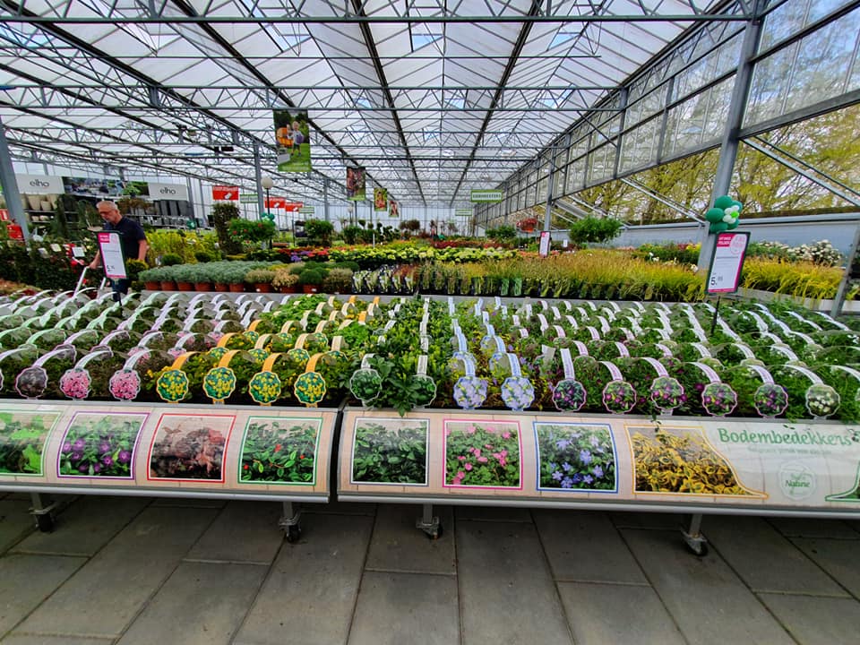 Nieuwe tuinplanten kopen in Limburg doet u bij Beeker Tuincentrum!