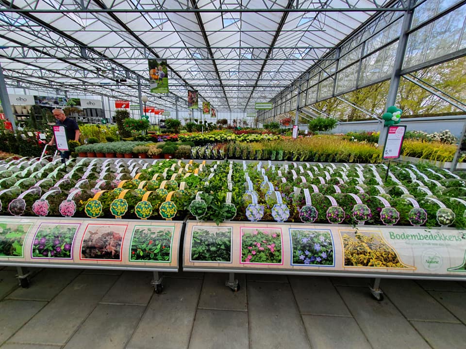 Op de een of andere manier Werkgever gebaar Tuinplanten kopen Limburg - Beeker Tuincentrum