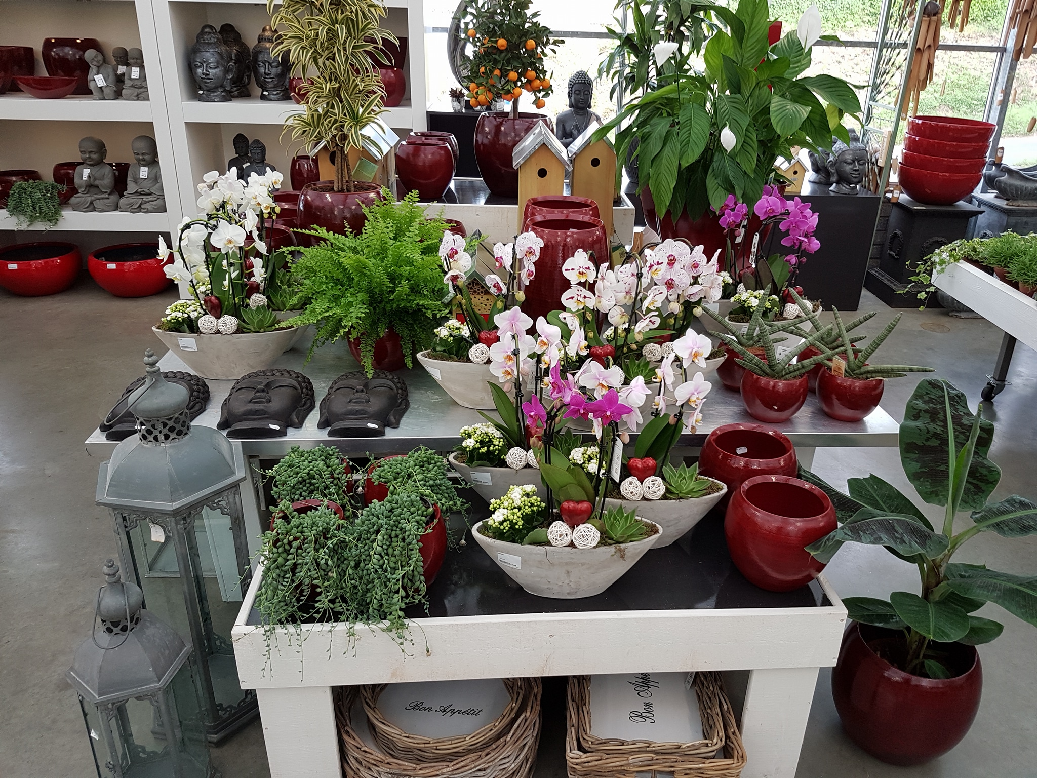 Tuincentrum nabij Sittard Tuincentrum nabij Sittard