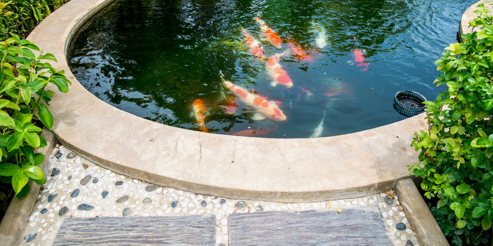 Water in de tuin