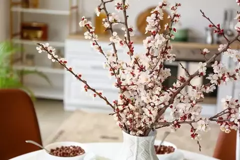 Haal de lente in huis met bloesemtakken