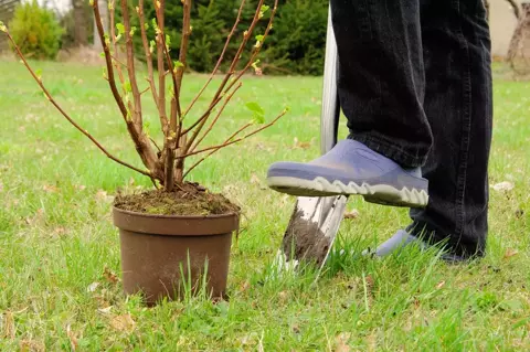 Het najaar is 'de tweede lente' in de tuin!